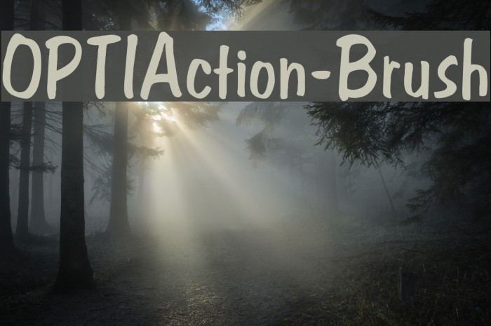 OPTIAction-Brush Font examples