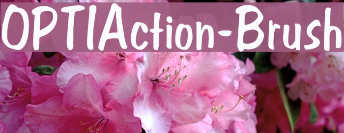 OPTIAction-Brush Font examples