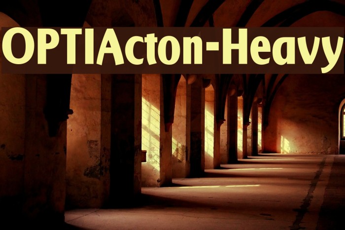 OPTIActon-Heavy Font examples