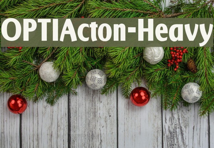 OPTIActon-Heavy Font examples