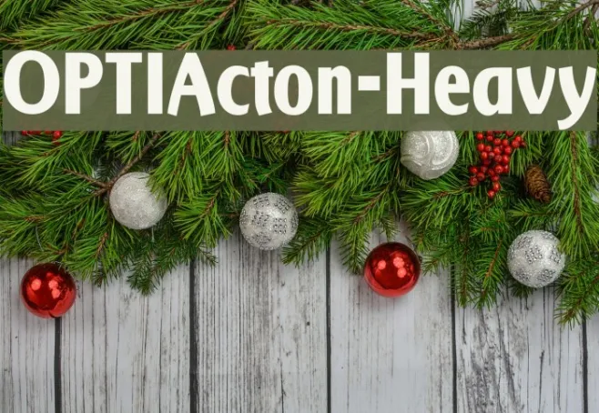 OPTIActon-Heavy Example 2