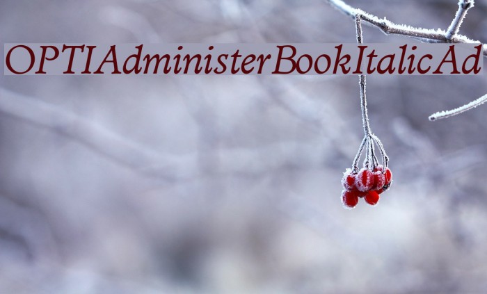 OPTIAdministerBookItalicAd Font examples