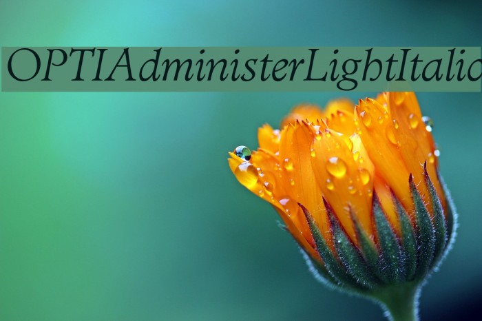 OPTIAdministerLightItalic Font examples