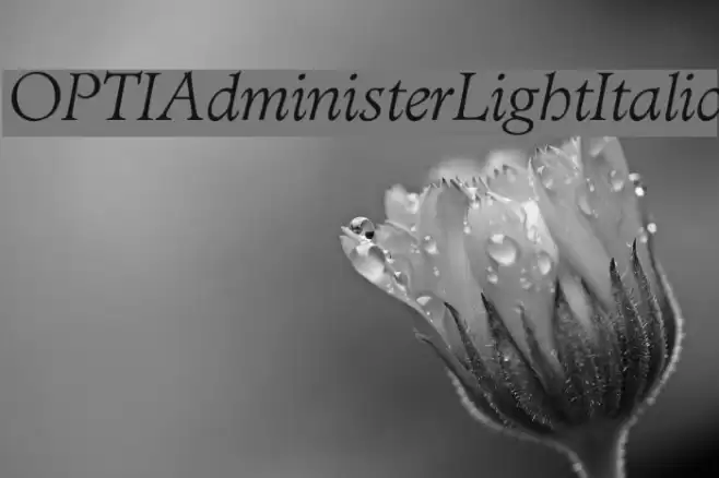 OPTIAdministerLightItalic Font examples