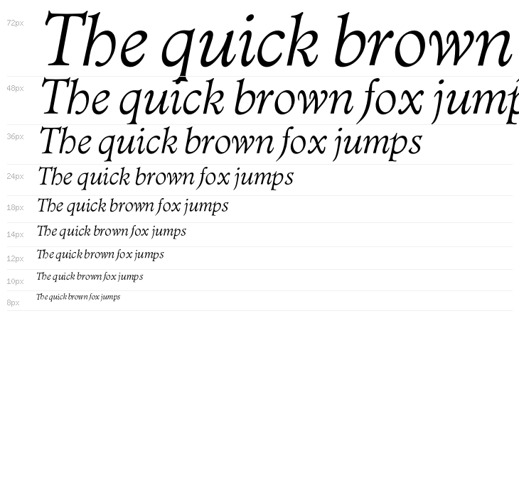 OPTIAdministerLightItalic Waterfall