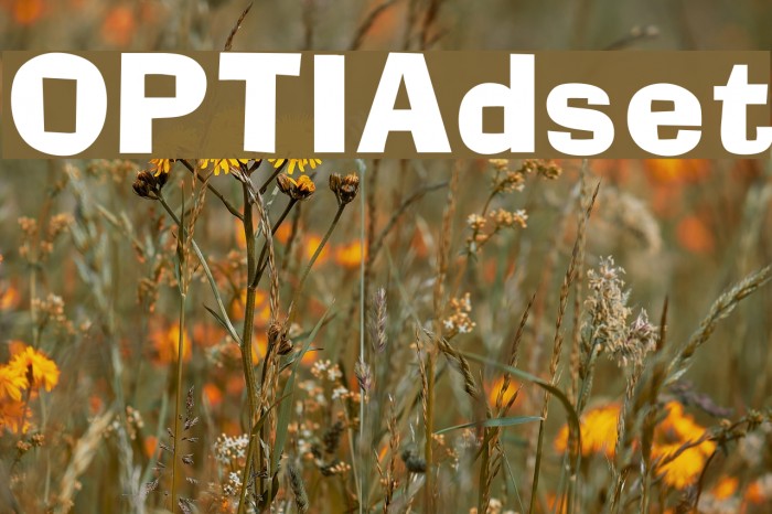 OPTIAdset フォント examples