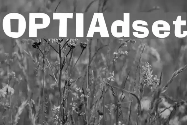 OPTIAdset フォント examples