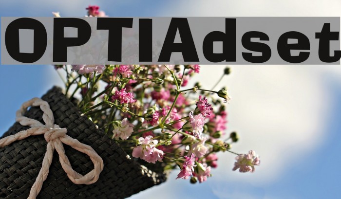 OPTIAdset フォント examples