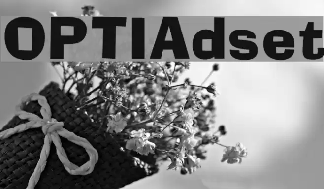OPTIAdset フォント examples