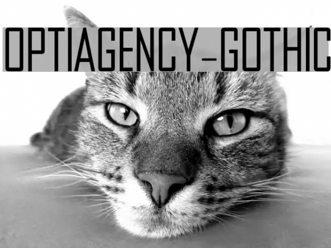 OPTIAgency-Gothic Font examples