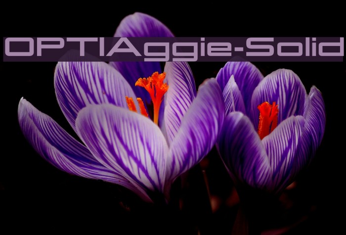 OPTIAggie-Solid Font examples