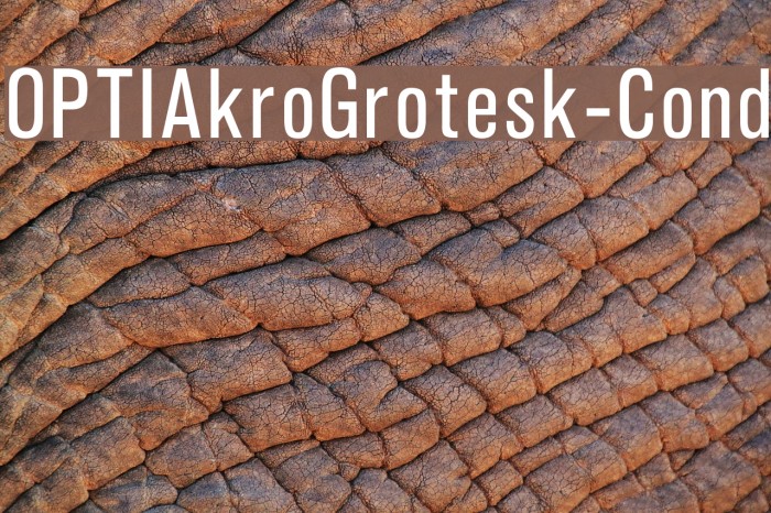 OPTIAkroGrotesk-Cond Font examples
