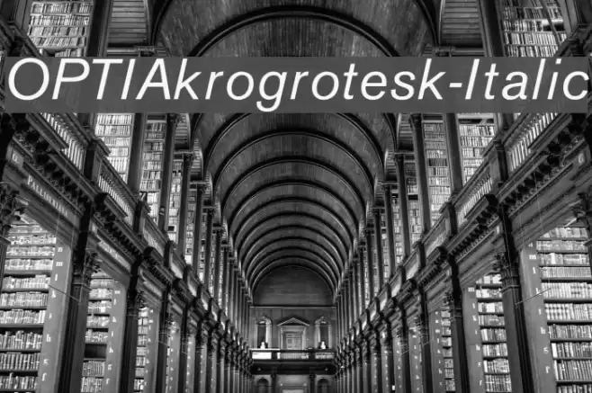 OPTIAkrogrotesk-Italic Font examples