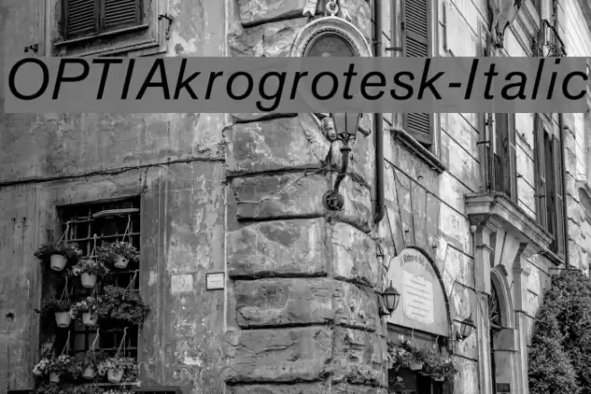 OPTIAkrogrotesk-Italic Font examples