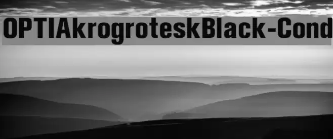 OPTIAkrogroteskBlack-Cond Font examples