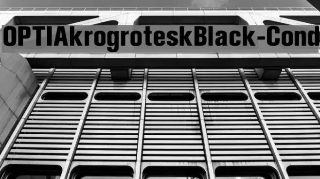 OPTIAkrogroteskBlack-Cond Font examples