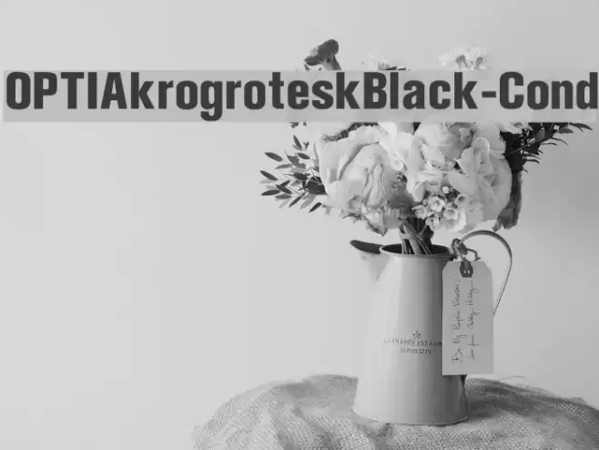 OPTIAkrogroteskBlack-Cond Font examples