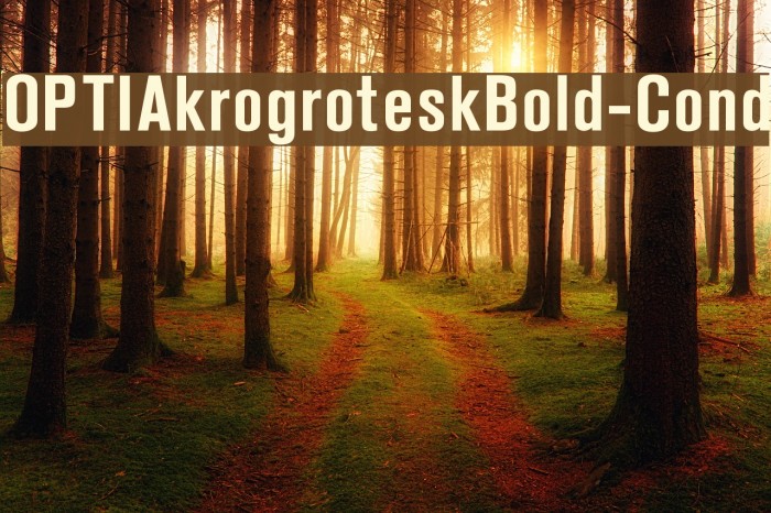 OPTIAkrogroteskBold-Cond Font examples