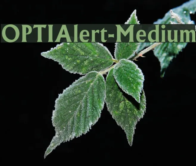 OPTIAlert-Medium Example 1