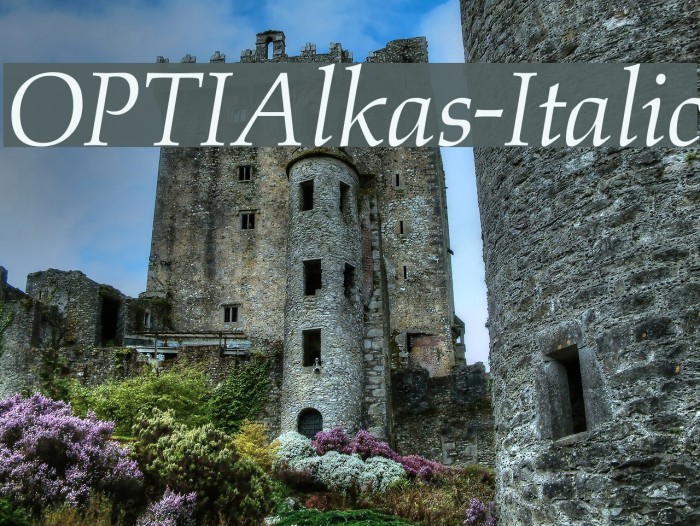 OPTIAlkas-Italic Font examples