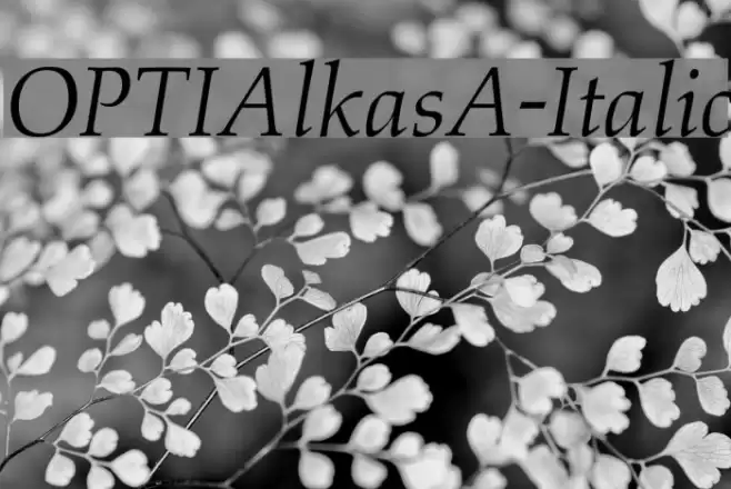 OPTIAlkasA-Italic Font examples
