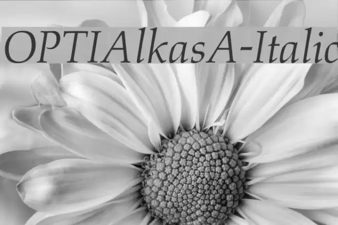 OPTIAlkasA-Italic Font examples