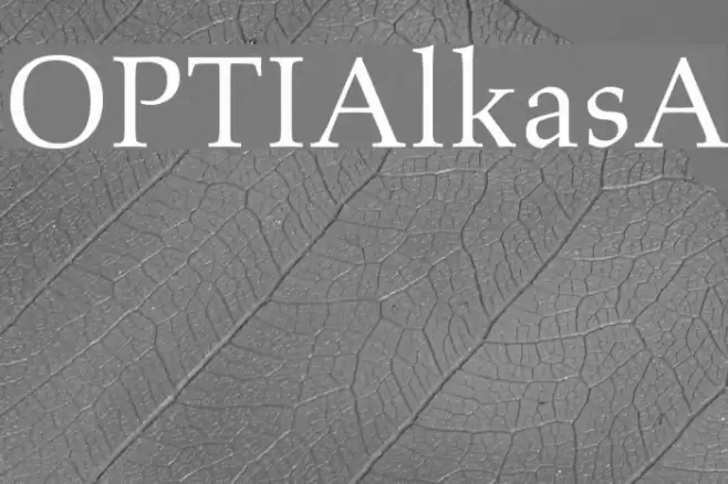 OPTIAlkasA  examples