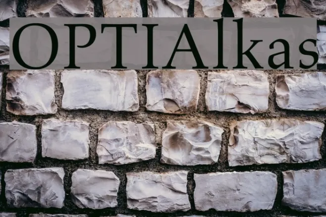 OPTIAlkas Example 3