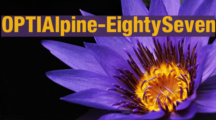 OPTIAlpine-EightySeven Font examples