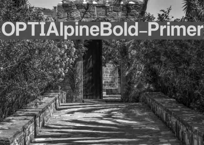 OPTIAlpineBold-Primer Font examples