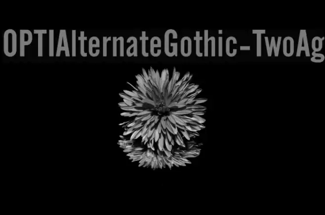 OPTIAlternateGothic-TwoAg Font examples