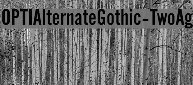 OPTIAlternateGothic-TwoAg Font examples