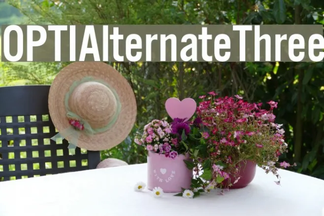 OPTIAlternateThree Example 1