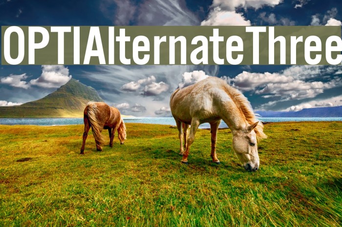 OPTIAlternateThree Font examples