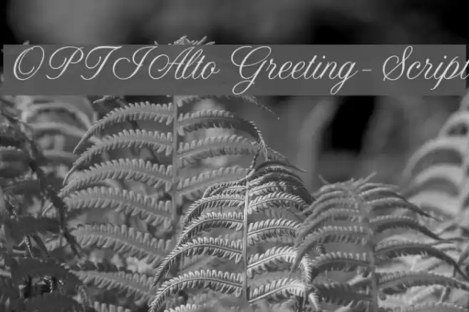OPTIAltoGreeting-Script Font examples
