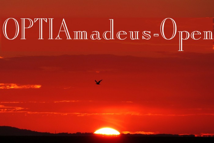 OPTIAmadeus-Open Font examples