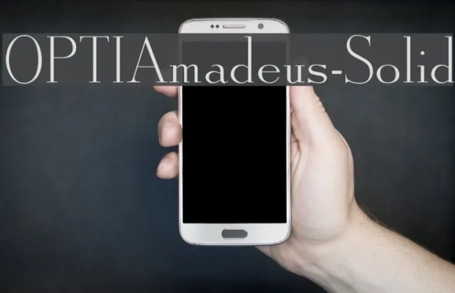 OPTIAmadeus-Solid Example 1