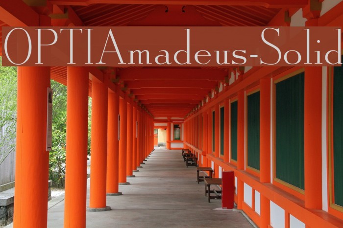 OPTIAmadeus-Solid Font examples