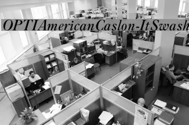 OPTIAmericanCaslon-ItSwash Font examples