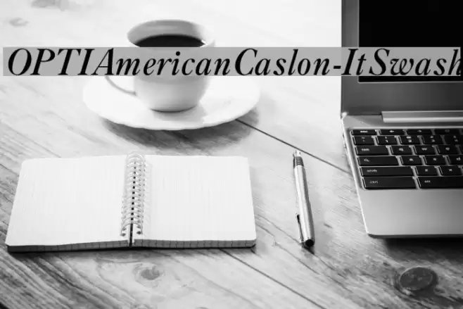 OPTIAmericanCaslon-ItSwash Font examples