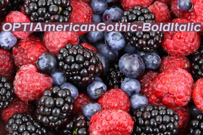 OPTIAmericanGothic-BoldItalic Font examples
