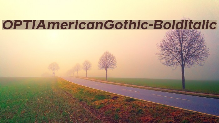 OPTIAmericanGothic-BoldItalic Font examples