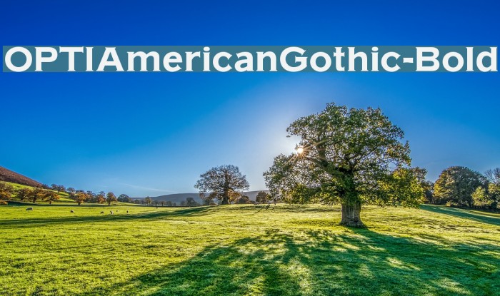 OPTIAmericanGothic-Bold Font examples