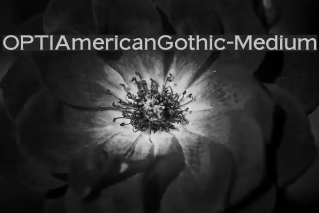 OPTIAmericanGothic-Medium Font examples