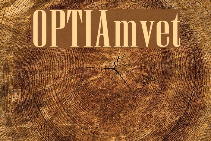 OPTIAmvet Font examples