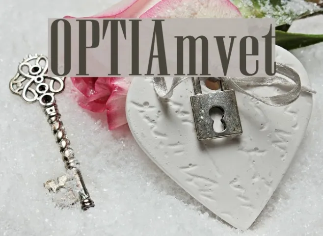 OPTIAmvet Example 3