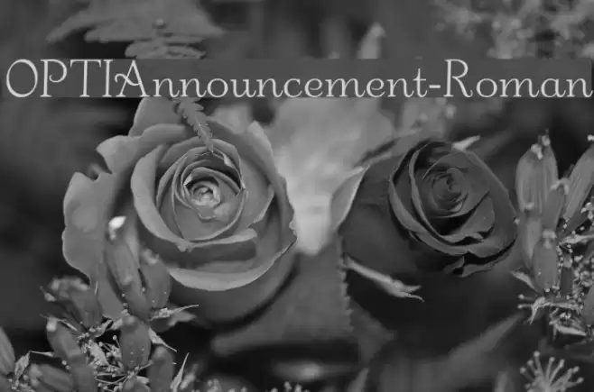 OPTIAnnouncement-Roman Font examples