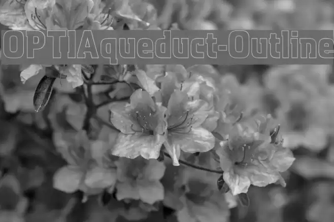 OPTIAqueduct-Outline Font examples