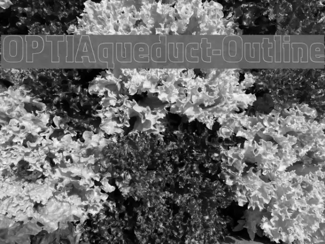 OPTIAqueduct-Outline Font examples