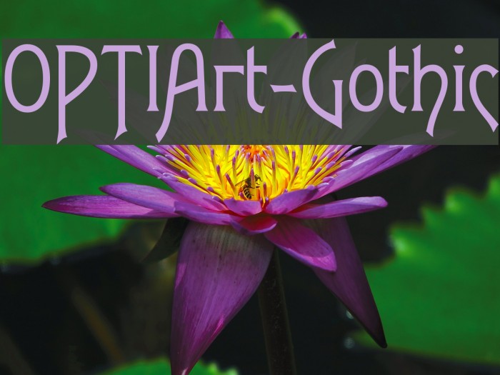OPTIArt-Gothic Example 1